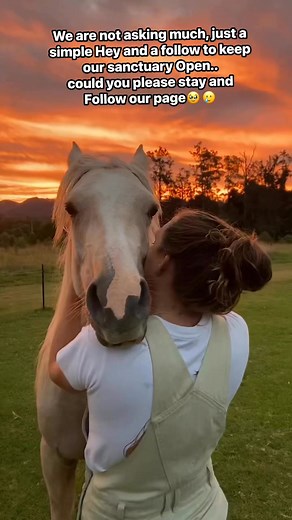 We are not asking much, just a simple Hey and a follow to keep our sanctuary Open.. could you please stay and Follow our page🥹🥲 | Lindah G Anderson