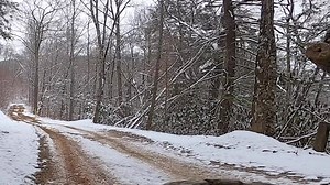 4.5K views · 66 reactions | Get out and ride this winter at Ride Royal Blue! The mountains are gorgeous this time of year, just bundle up and have some fun! Book your winter getaway at: www.rideroyalblue.com | Ride Royal Blue ATV Resort & Campground | Facebook