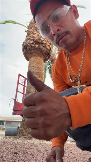 #fyp??viral #fypviral #birthdaygirl #working #callnow