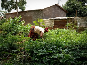 Displaced women’s Housing, Land and Property (HLP) Rights