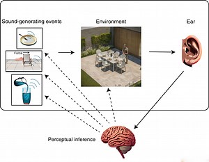 1: Introduction to Perception | Perception | Brain and Cognitive Sciences | MIT OpenCourseWare