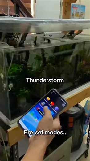 our NO BRAND FULL SPECTRUM APP CONTROLLED AQUARIUM LIGHTS 🌈💡🌱🐠#aquascapingdealsph #aquarium #aquascape #hobby #fishkeeping | AquaScaping Deals PH