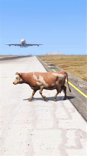 Accidental Cow Arrives During Aircraft Landing | Grand Theft Auto V || #gta #gta5 #shorts