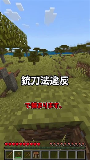最悪〇刑？！マイクラでいつもしている行為、現実では大犯罪！ #Shorts