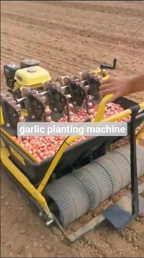 garlic planting machine #machine #agriculture #agriculturalmachines