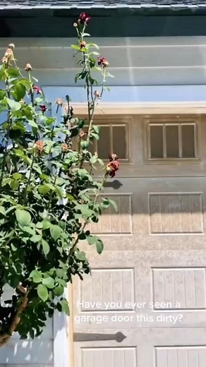 16K views · 145 reactions | #pressurewashing #cleaning #soclean #usacleaning #asmrcleaning | Amazingtips | Facebook