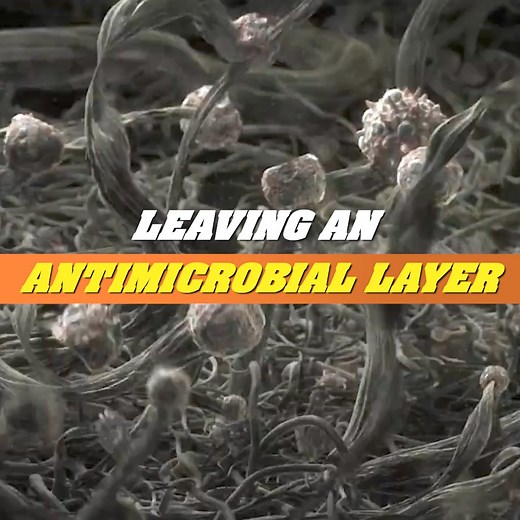 2K views | From routine repairs to disaster restoration, prevent mold with Concrobium Mold Control. | The Home Depot | Facebook