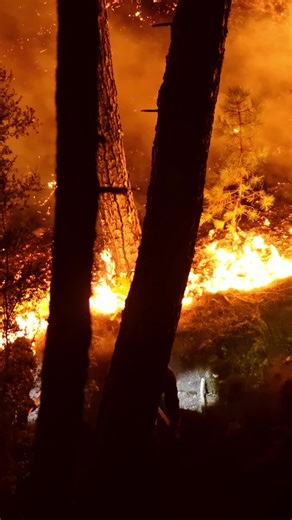 National Testing Network on TikTok