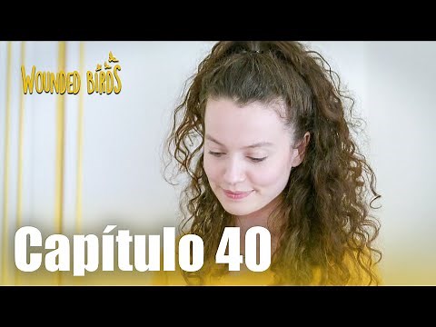 Omer Sueños Robados | Capítulo 40