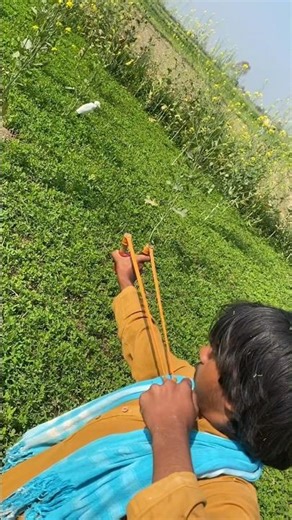 hunting egrat with Slingshot #cattle egrat hunting