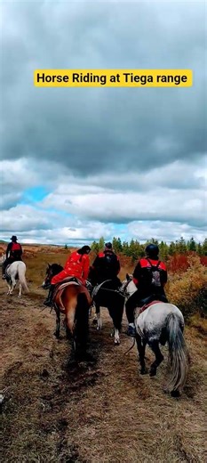 Mongolian Hourse riding Tour at Tiega trials #planetwayround #mongolia