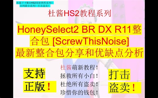 HoneySelect2 BR DX R11整合包 [ScrewThisNoise]最新整合包分享和优缺点分析-杜酱全网最全萌新教程系列之HS2系列