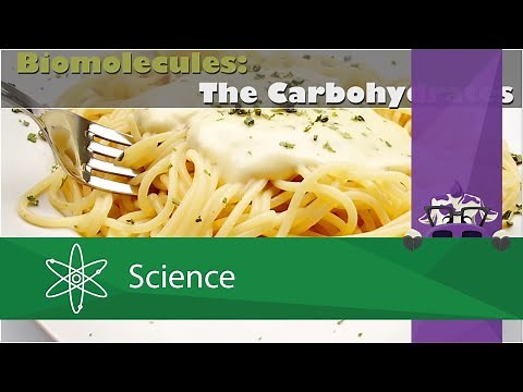 Biomolecules: The Carbohydrates