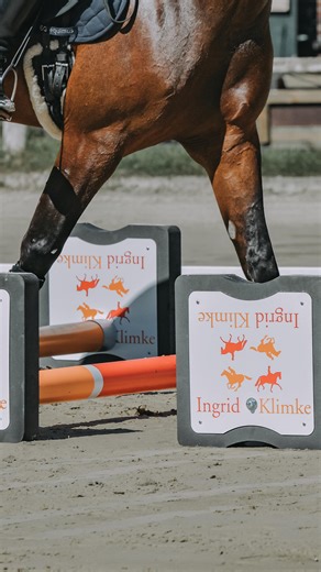 Mit dieser Cavaletti-Übung verbessert ihr den Takt im Schritt 😍 Bei Reiterin Saskia und ihrem Pferd Ferrero geht der Takt im Schritt beim Aufnehmen der Zügel manchmal verloren und verschiebt sich z.B. in Richtung Pass. 👀 Um den richtigen Schritt in der Anlehnung zu üben, zeigt Trainerin Ingrid Klimke Saskia eine ganz einfache Cavaletti-Übung. 🐴💚 Und so geht’s: 1️⃣ Stellt alle vier Cavaletti mit etwa einem Meter Abstand parallel auf 2️⃣ Zieht dann drei Cavaletti an der jeweiligen Stelle zurüc