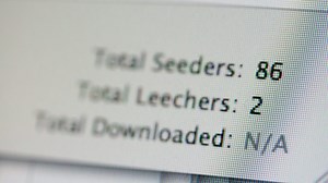 Google, Microsoft can’t be forced to censor “torrent” searches