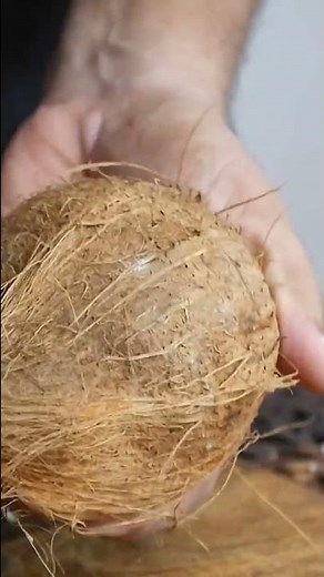 How to open a coconut 🥥😱👇🏽 #coconut #coconutwater #howto