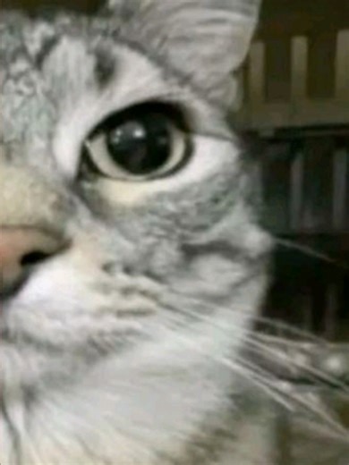 #fyp #randomthings random drafts