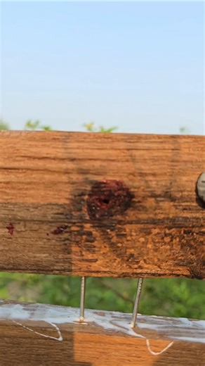 Quick & Easy Wood Joint Tightening Hack #diy #tricks #viral