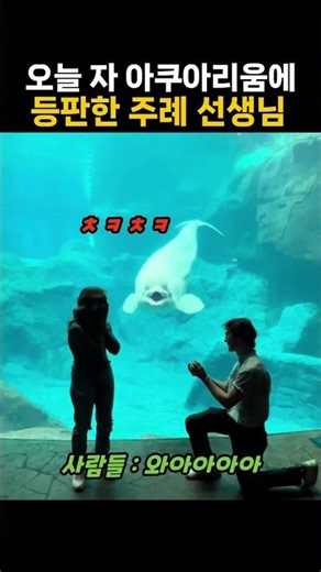 벨루가 주례 선생님의 한말씀