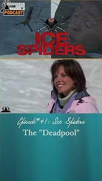The "Deadpool" | Ice Spiders (2007) | EP41 #concessions #clips #podcast #movies