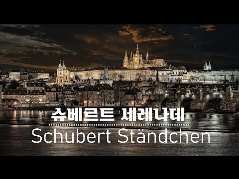 슈베르트 - 세레나데 | Schubert [Serenade D.957, No.4] 첼로 원지혜