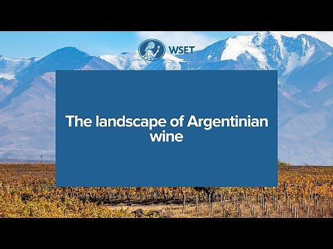The landscape of Argentinian wine