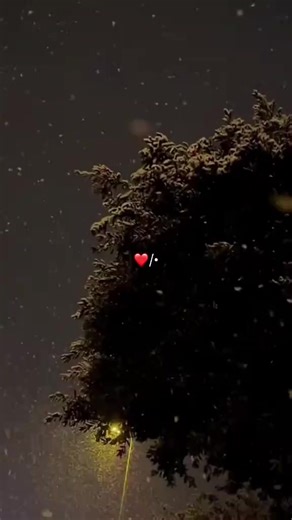 songs lover😍 (@songslyrics236)’s videos with original sound - songs lover😍