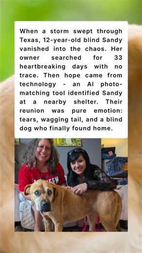 AI Reunites Blind Dog with Her Owner After 33 Days Lost #AnimalRescue