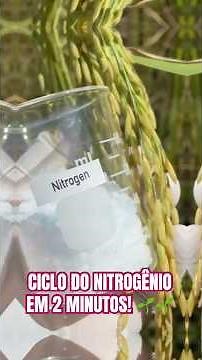 Aprenda o Ciclo de Nitrogênio em 2 Minutos! 🌱🌱🌱 #biologiaenem #uerj #ecologia #vestibular