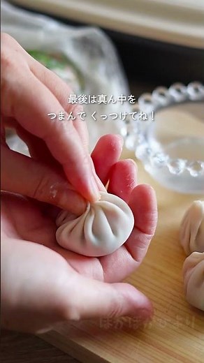 レンジ調理器で作る【丸餃子】 #簡単レシピ #餃子 #スリコ