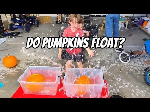 Do Pumpkins Sink or Float? Our 4-Year-Old Finds Out!