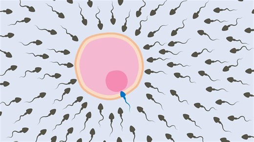 How To Increase Sperm Count for Male Fertility