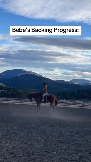 From rearing to backing: Practice & refinement. #fyp #horsetraining #problemsolving | Breanna Engle