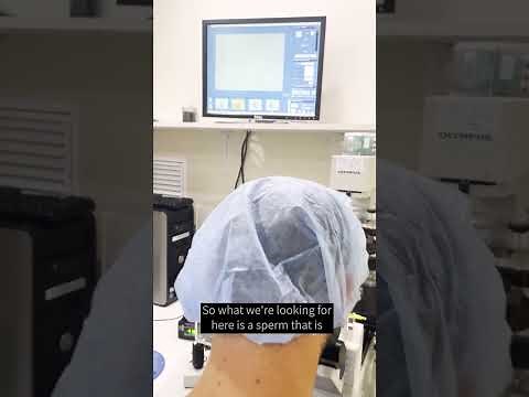 Watch how ICSI is done