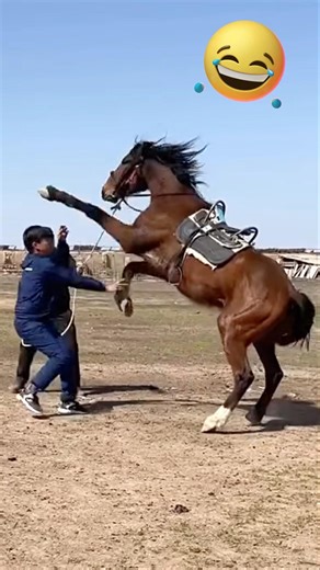 Funniest Fail Moments You’ll Watch on Loop #funny #hilariousfails #funnymoment #thestupids #fails