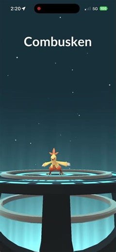 Evolving Torchic