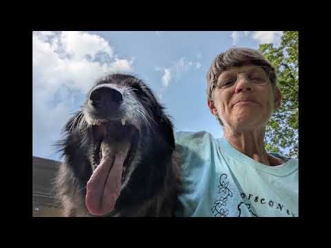 Copper Tribute 2011 2026