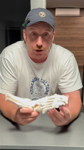 Jamie Smith on Instagram: "You only really need to learn 2 things Pronation shape vs Supination shape What causes and creates either shape The confusion stems, like most things, from shitty narratives and poorly applied ideas Pronation is a great thing, it means the foot is being loaded Supination is awesome, it means we are successfully getting weight off the foot The transition between the 2 is what most people are confused by Next intake of the Movement Mentorship kicks off Feb 9th"