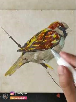 House Sparrow Drawing #drawing #art #bird #easydrawing #pencildrawing #sketch #artwork #birds