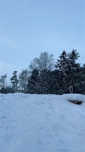 Favorite Colors in Quadrobics: Join the Fun!