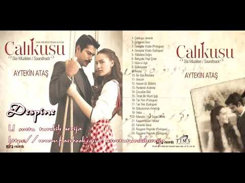 01. Aytekin Aytaş - Çalıkuşu Jenerık