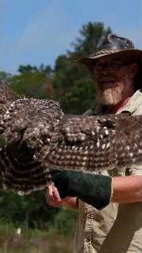Bitou Birding Festival - A Wonderful Diversity of Bird Life