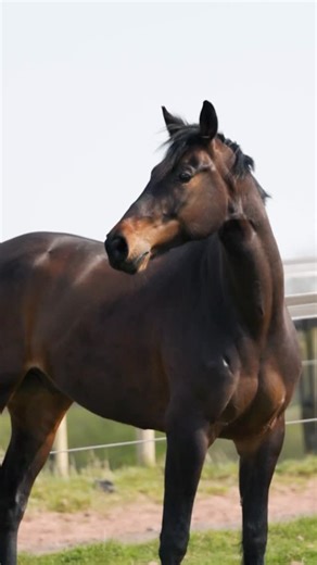 138 reactions | Have you downloaded Equiyd yet?  Our free app lets...