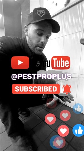 The wait is officially over! Watch as Ben expertly demonstrates the cockroach dust gun, a highly effective tool for tackling pests in residential, multi-residential, and commercial buildings. This gun ensures the dust is precisely applied into cracks and crevices, making it super effective at eliminating infestations! You won't want to miss seeing this powerful method in action. #PestControl #Cockroaches #CommercialKitchens #InfestationAlert #FastAction | Pest Protection Plus Inc.