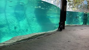 66K views · 4.3K reactions | #ColumbusZoo2U: Bill S. Preston Esquire...