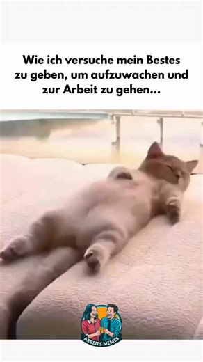 Memepage on Instagram: "Folge für mehr🙌🏼 Doppelklick, wenn es dir gefallen hat😉 DM für Antrag auf Löschung © Alle Rechte gehören den jeweiligen Eigentümern. #funny #spaß #lustig #wachstum #entwicklung"