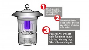 DynaTrap Insect Trap (DT1210), Pole Mount and Water Tray, 1/2 Acre, Black