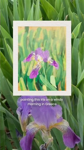 Painting an Iris on a windy morning in Greece