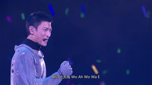 【蓝光·中字】刘德华2007完美世界香港红馆演唱会