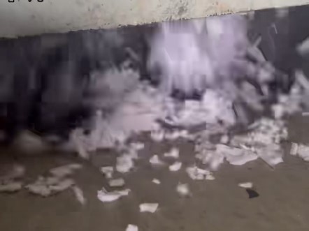 #海绵复合布分离机 #德邦分离机#内衣边角料分离机 #植绒复合布 #海绵复合布 把女士内衣边角料里面的海绵与布料分离，今天德邦机械给大家介绍的是:内衣边角料分离